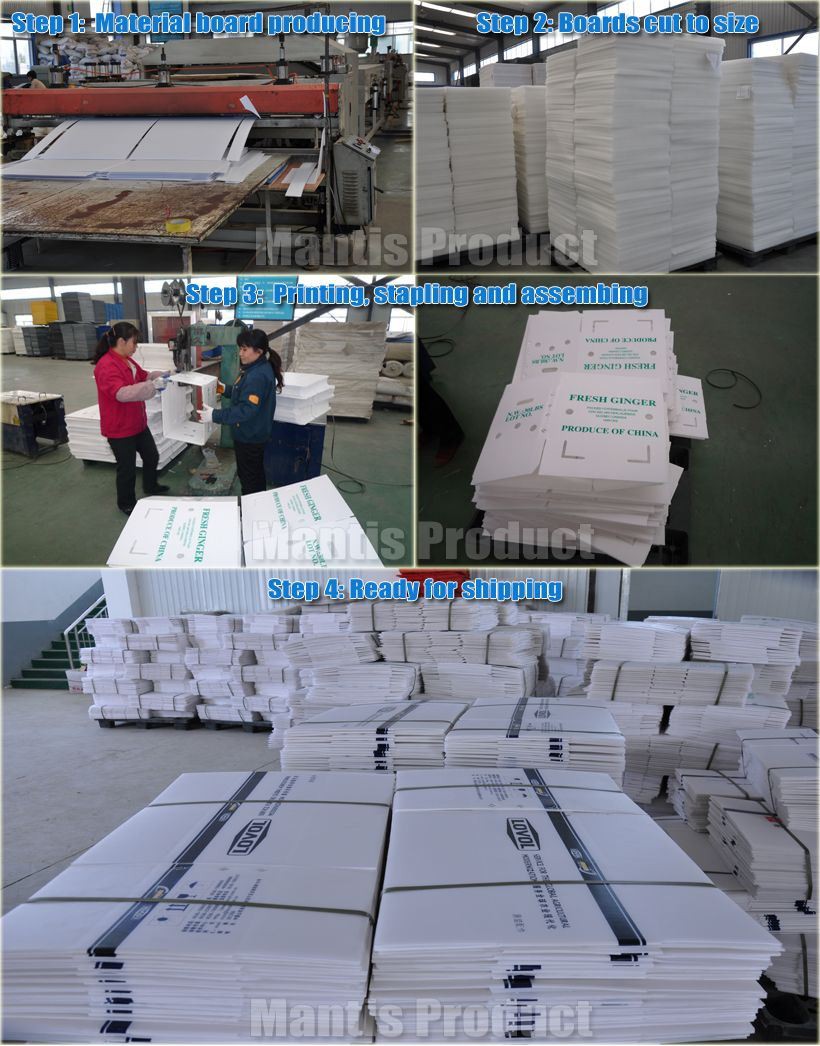 Production Process Snapshot(001)