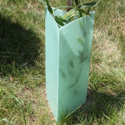 UV устойчивост PP Corflute Vine Guard