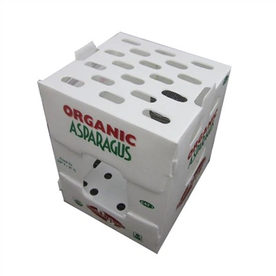 Coroplast Box